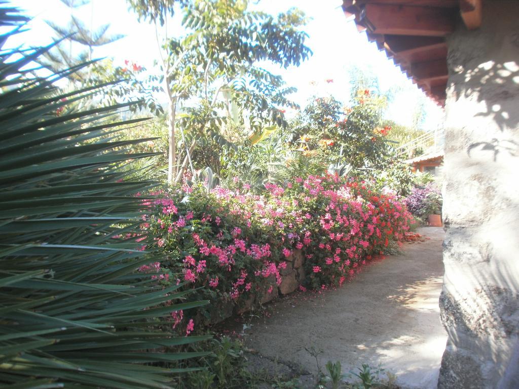 Finca Las Palmeras Icod De Los Vinos Ngoại thất bức ảnh