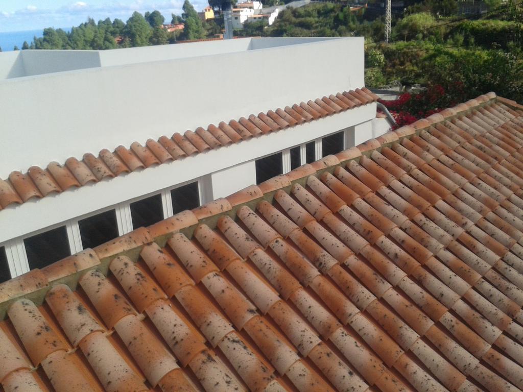 Finca Las Palmeras Icod De Los Vinos Phòng bức ảnh