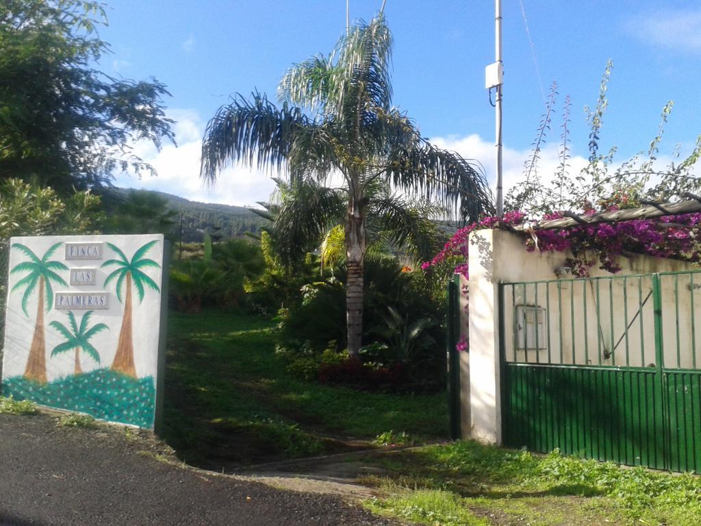 Finca Las Palmeras Icod De Los Vinos Ngoại thất bức ảnh